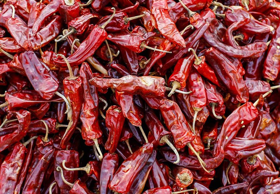 Dried red chillies spread out to cure in the sun
