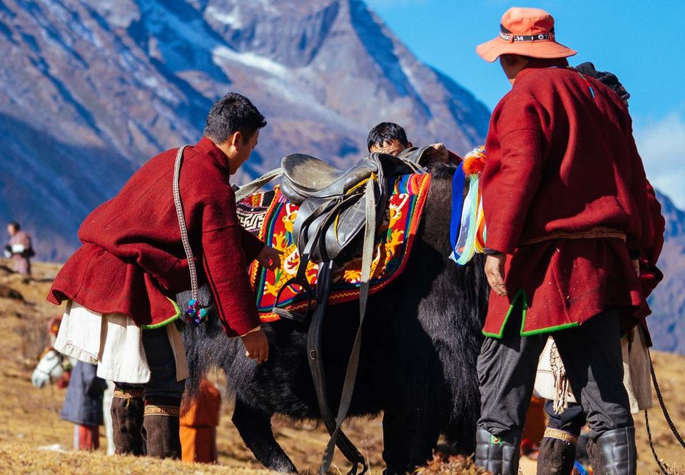 Highlanders in red robes leading a yak at the Royal Highlander Festival