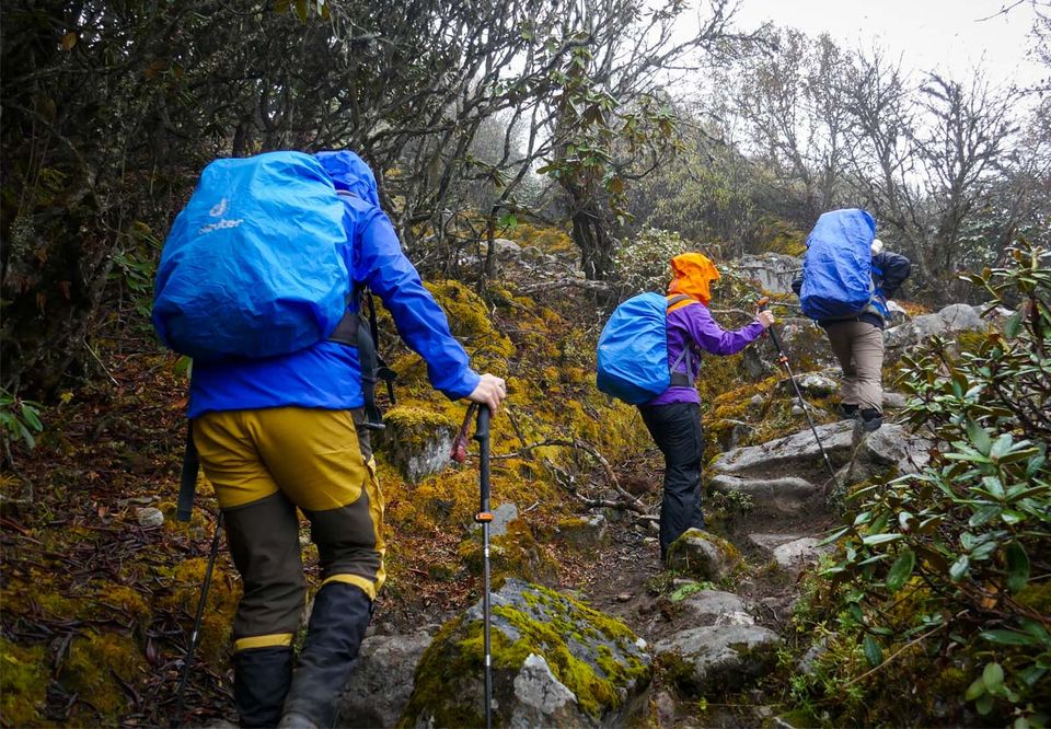 Hikers with trekking poles climbing a rocky trail through scrub