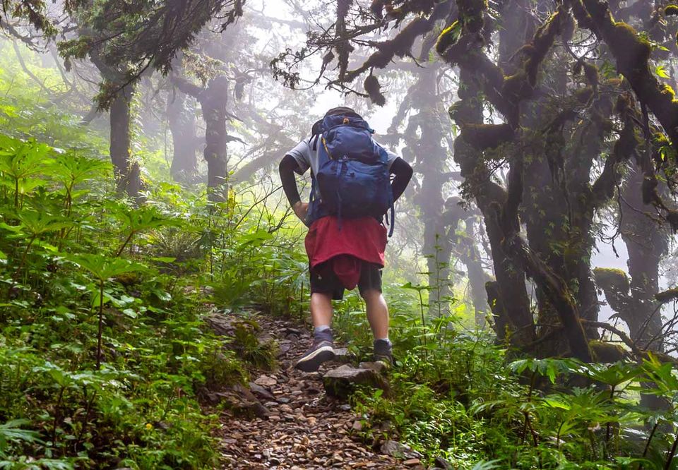A hiker with a backpack on a misty moss-draped forest trail