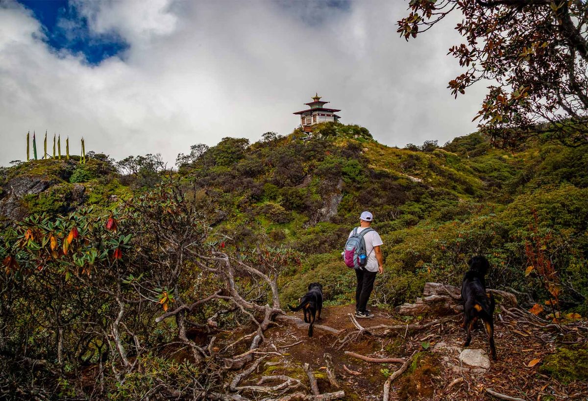 A hiker and two dogs on a ridge trail below a hilltop temple