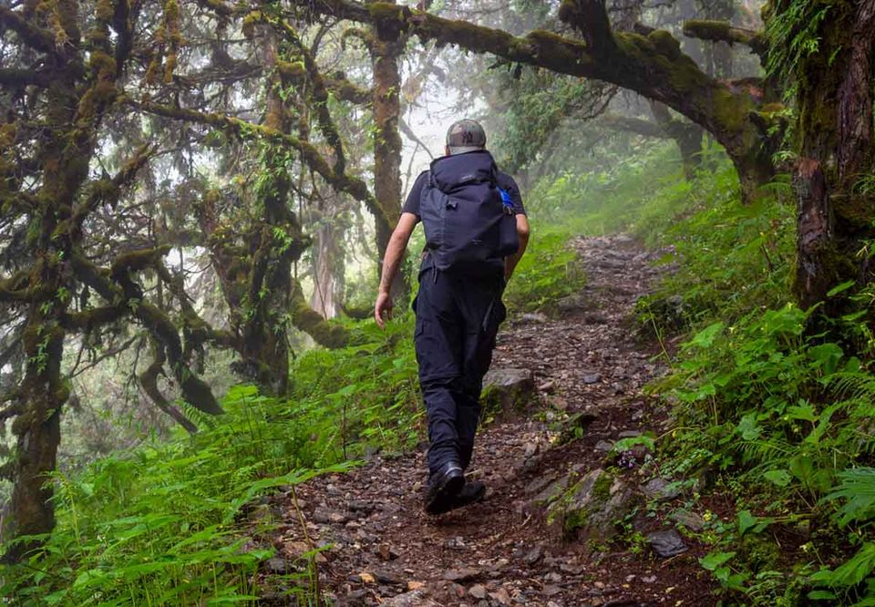 A lone hiker climbing a mossy stone path through ancient forest