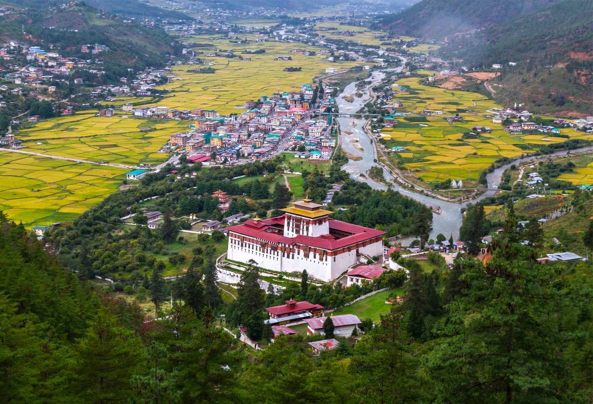 A dzong above golden paddy fields in a broad Bhutanese valley