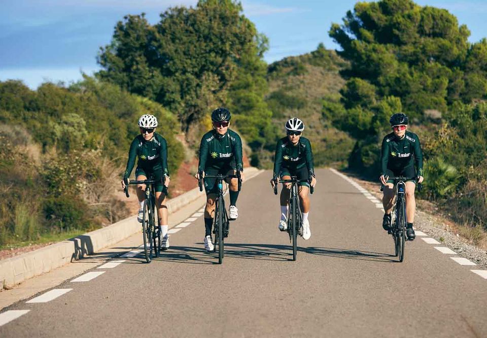 Four cyclists riding abreast along a tree-lined road