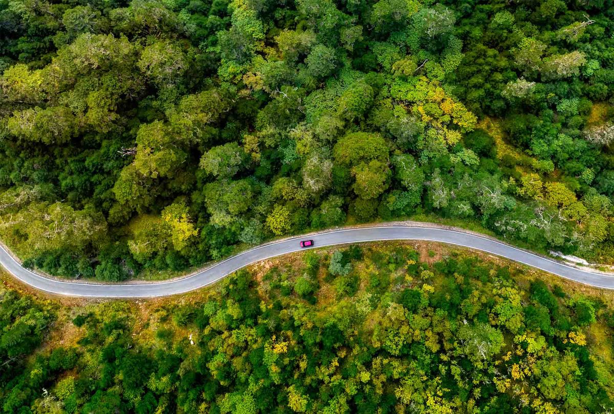 A ribbon of road winding through dense green forest, from above