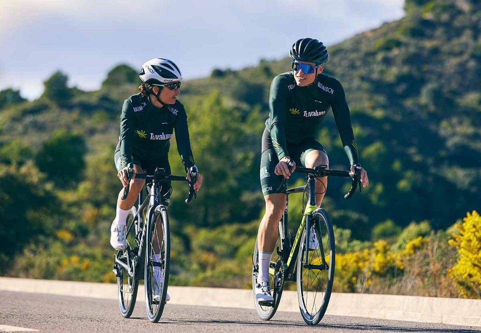 Two cyclists climbing past yellow flowering shrubs on a hill road