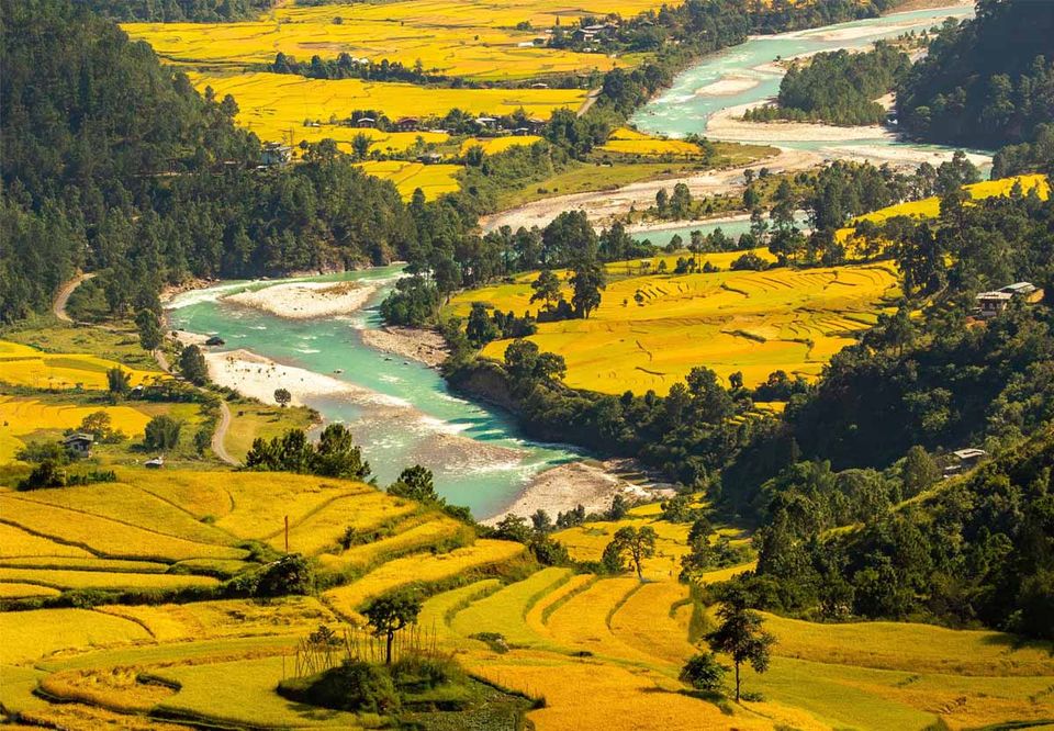 A turquoise river winding through golden terraced fields in Bhutan