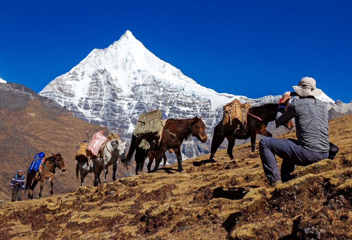 A pack-horse train climbing a slope below a snow-covered peak